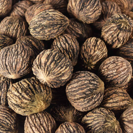 black walnut for parasites